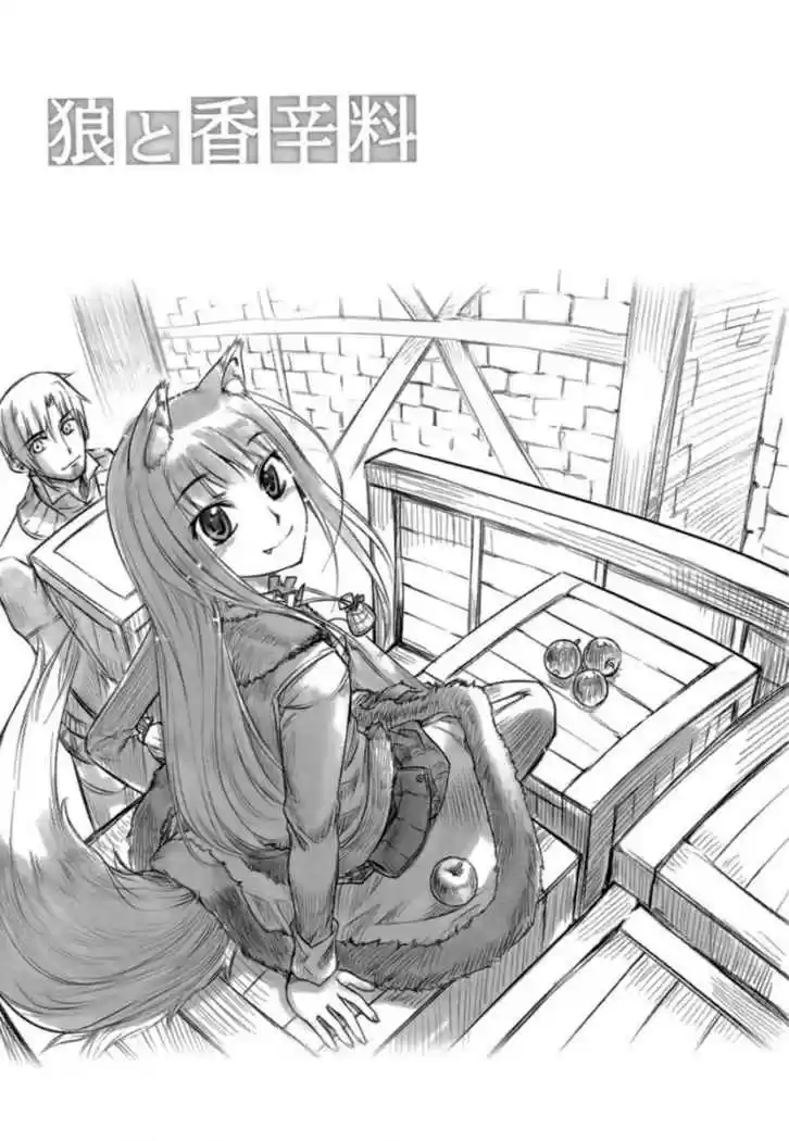 Spice and Wolf (2007) - Capítulo 15 - Página 32 - LectorTMOo