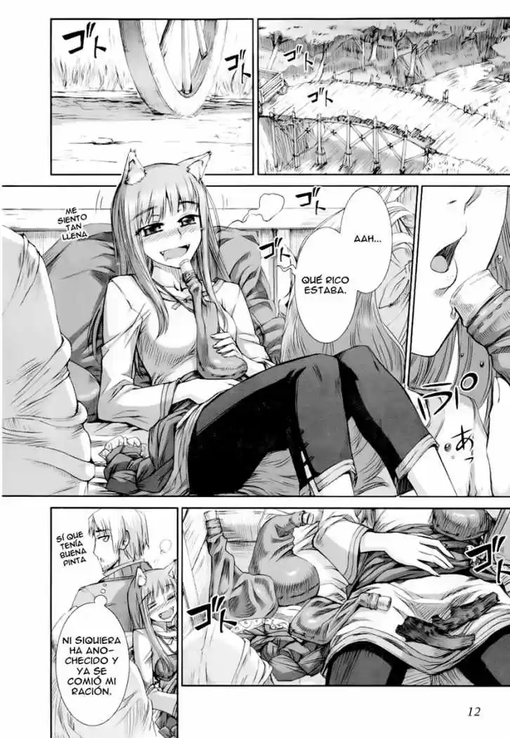 Spice and Wolf (2007) - Capítulo 19 - Página 14 - LectorTMOo