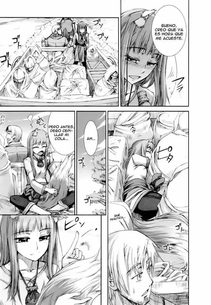 Spice and Wolf (2007) - Capítulo 19 - Página 15 - LectorTMOo