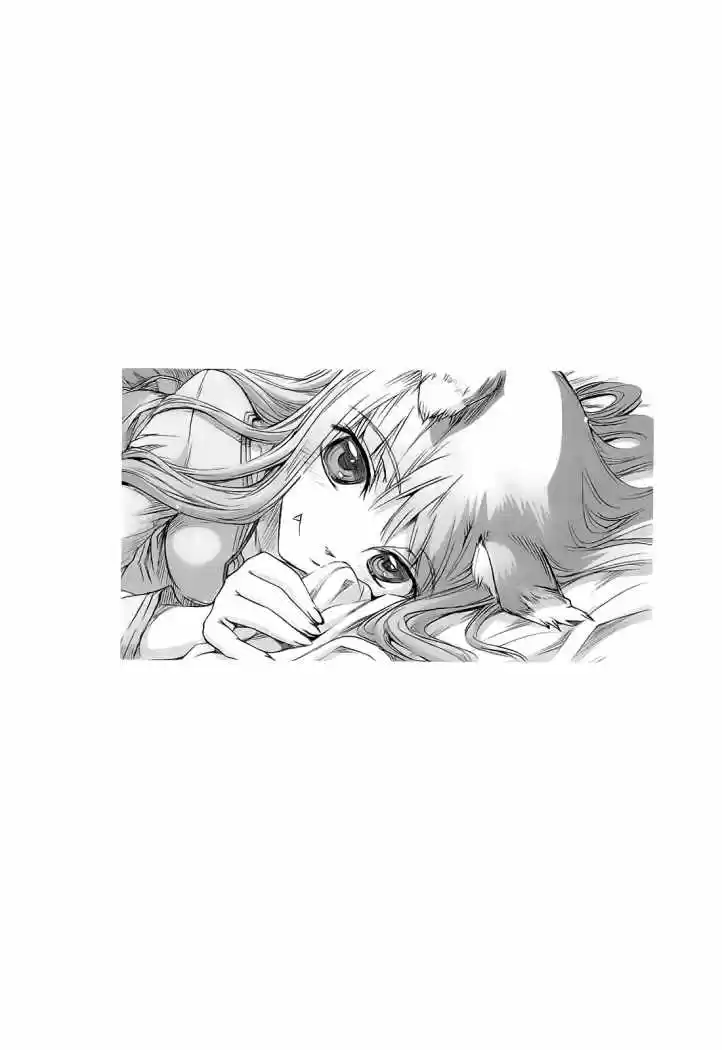 Spice and Wolf (2007) - Capítulo 27 - Página 29 - LectorTMOo