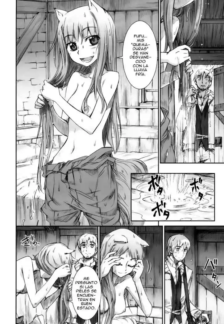 Spice and Wolf (2007) - Capítulo 3 - Página 7 - LectorTMOo