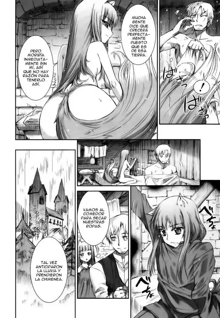 Spice and Wolf (2007) - Capítulo 3 - Página 11 - LectorTMOo