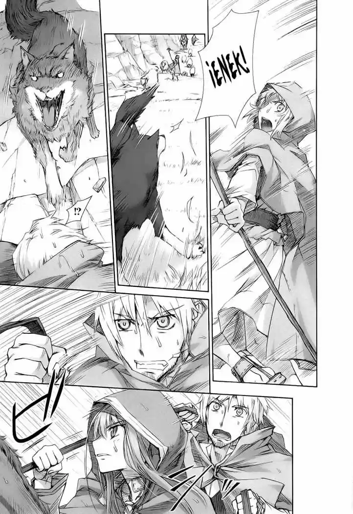 Spice and Wolf (2007) - Capítulo 30 - Página 18 - LectorTMOo