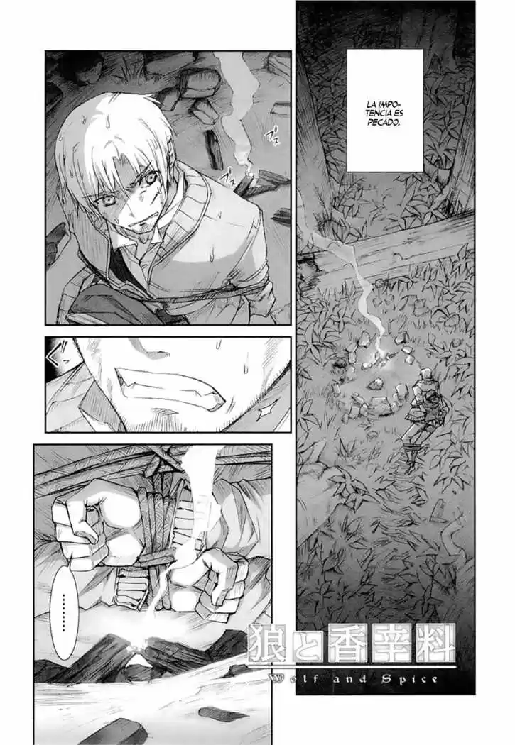 Spice and Wolf (2007) - Capítulo 32 - Página 1 - LectorTMOo