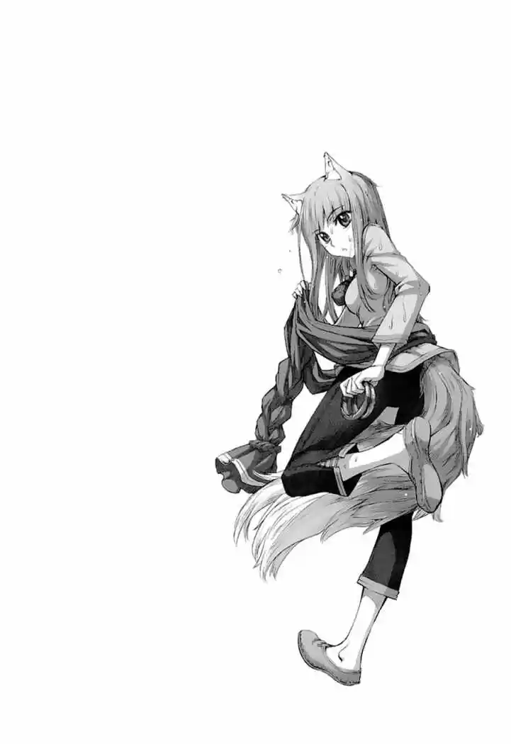 Spice and Wolf (2007) - Capítulo 33 - Página 1 - LectorTMOo