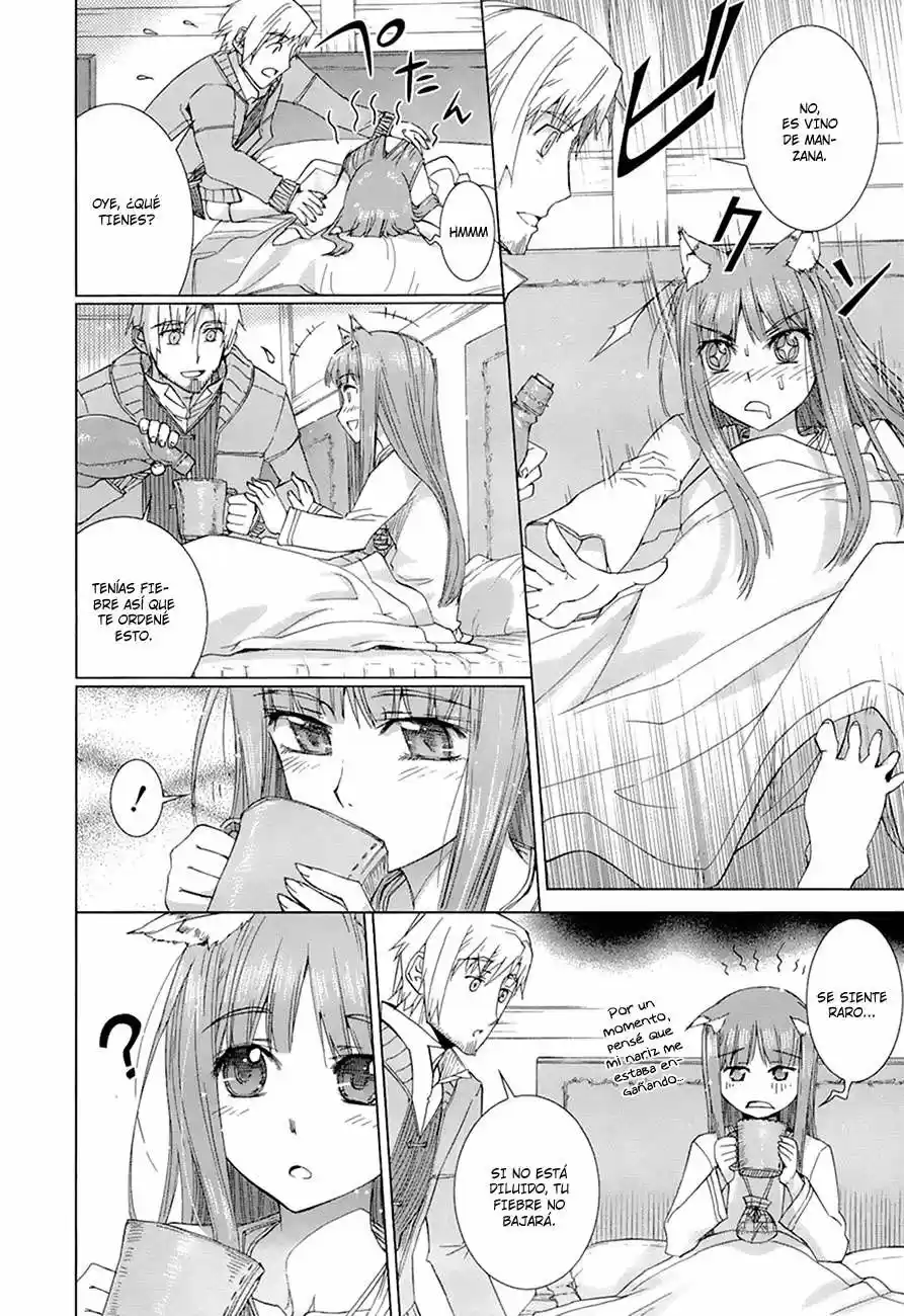 Spice and Wolf (2007) - Capítulo 35.02 - Página 9 - LectorTMOo