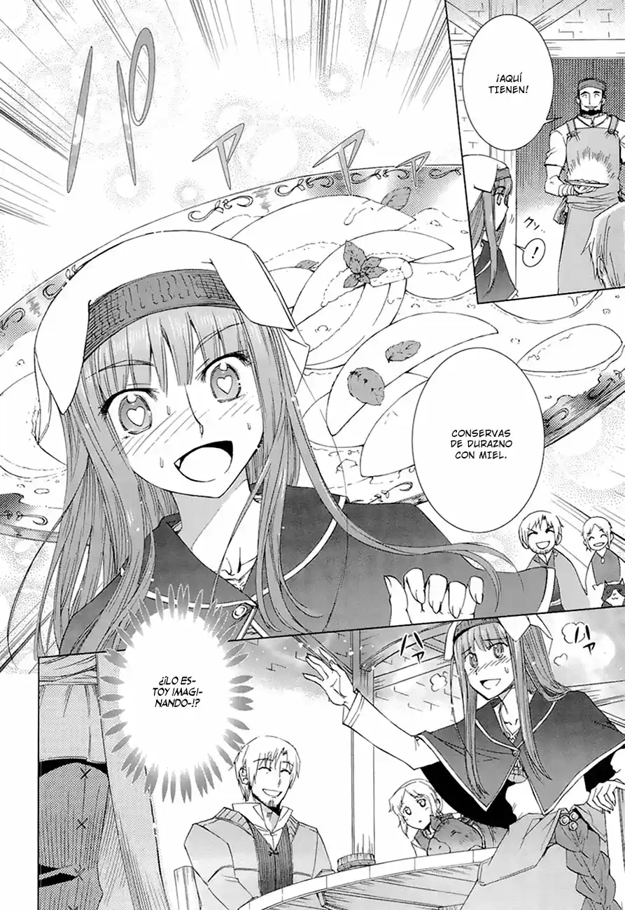 Spice and Wolf (2007) - Capítulo 35.1 - Página 7 - LectorTMOo