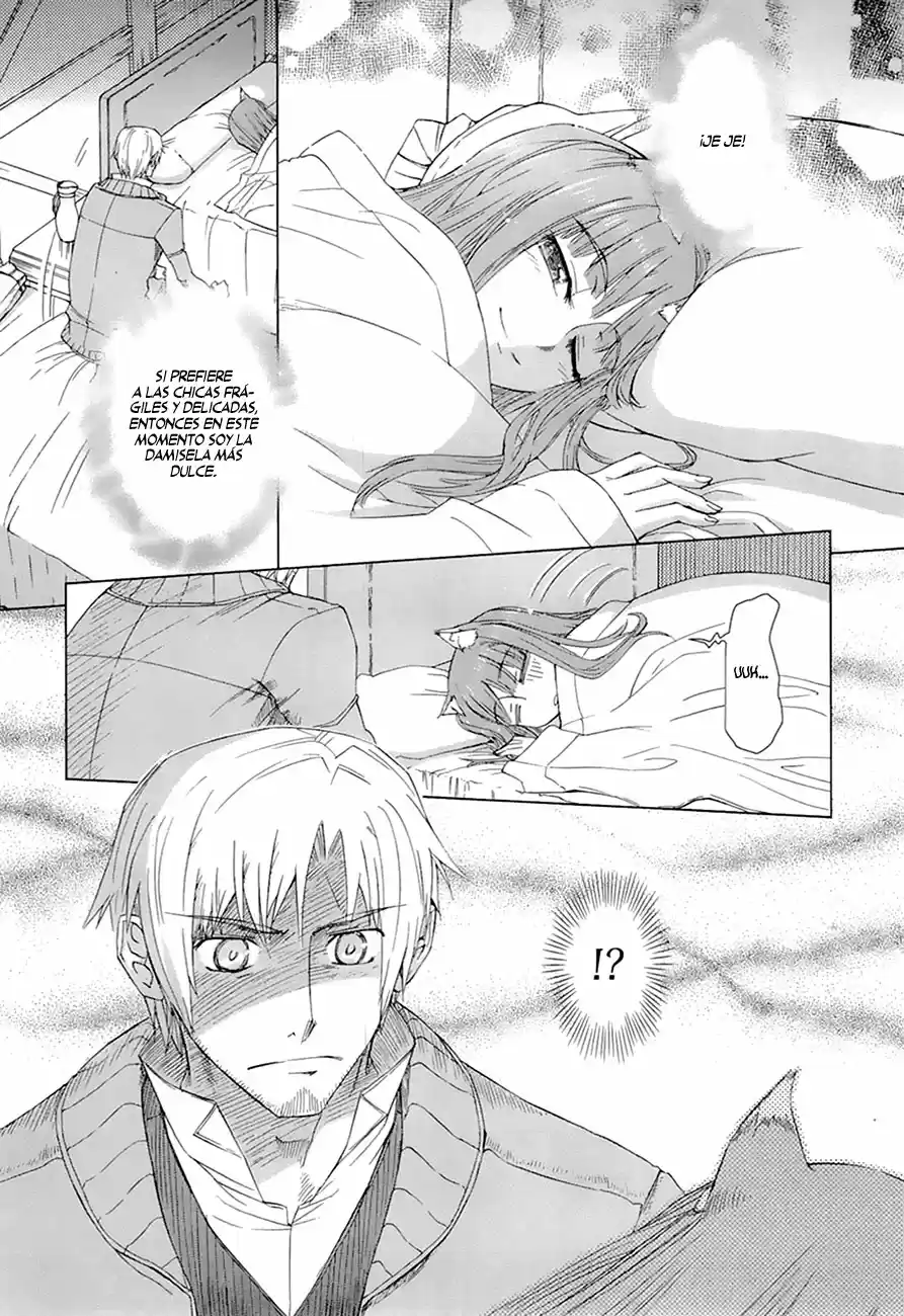 Spice and Wolf (2007) - Capítulo 35.1 - Página 12 - LectorTMOo