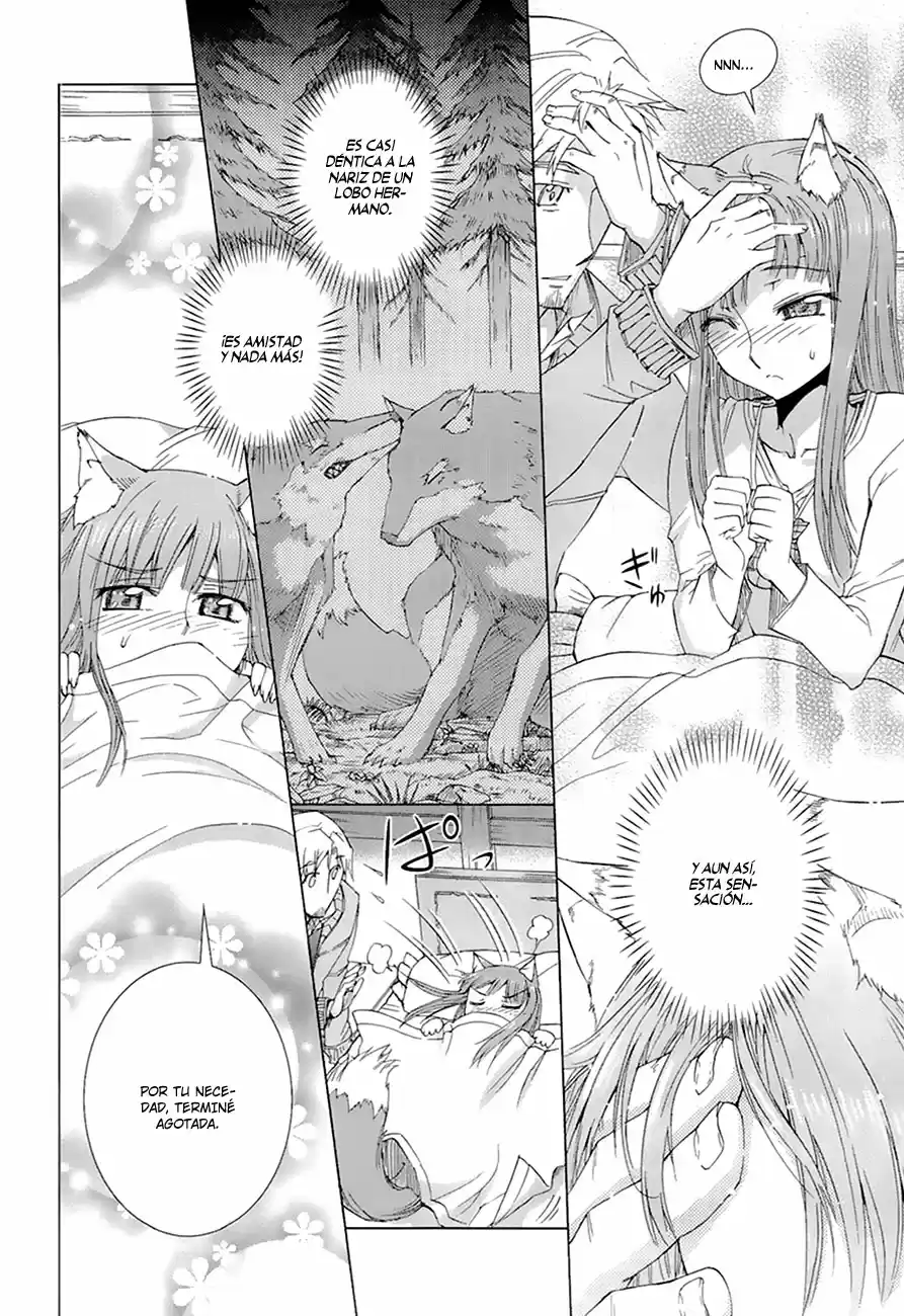 Spice and Wolf (2007) - Capítulo 35.1 - Página 17 - LectorTMOo