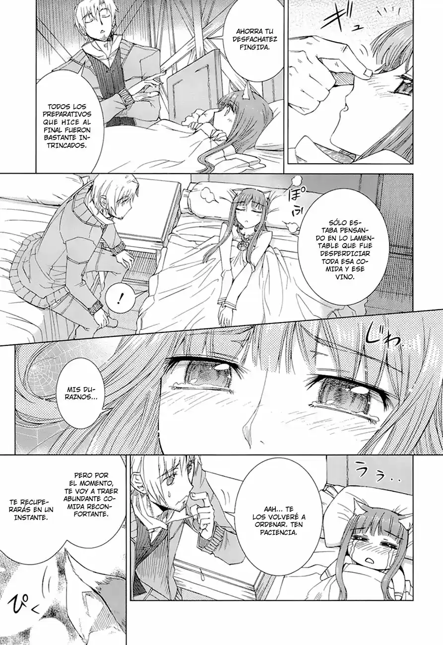 Spice and Wolf (2007) - Capítulo 35.1 - Página 18 - LectorTMOo