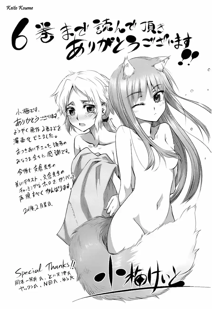 Spice and Wolf (2007) - Capítulo 35.2 - Página 22 - LectorTMOo