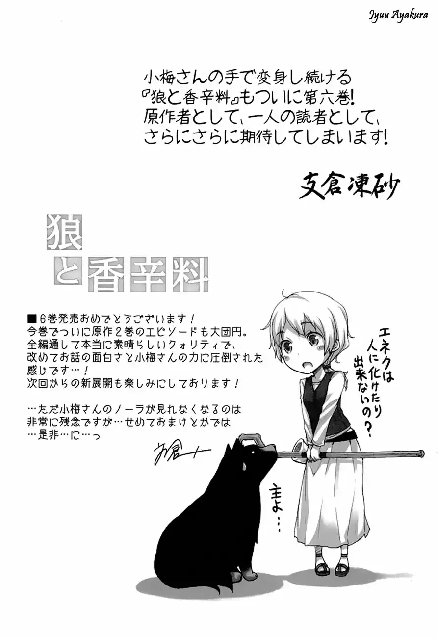 Spice and Wolf (2007) - Capítulo 35.2 - Página 24 - LectorTMOo