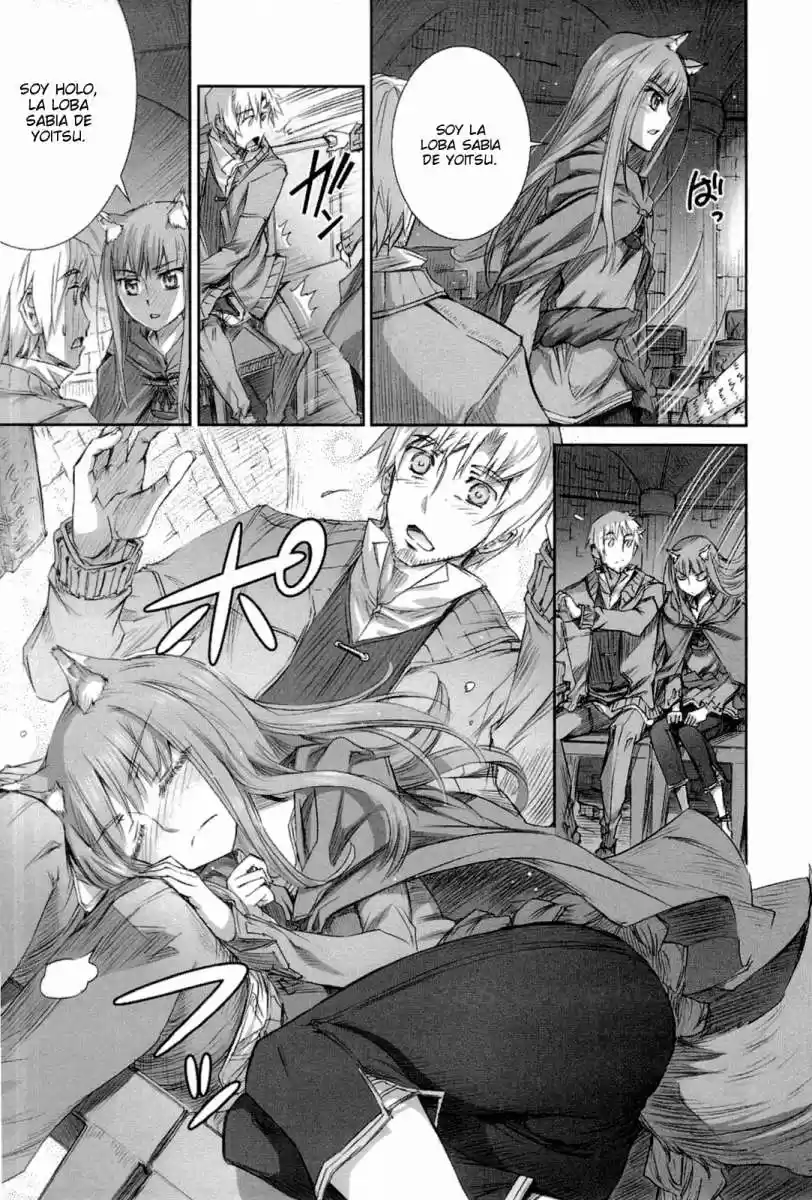 Spice and Wolf (2007) - Capítulo 38 - Página 22 - LectorTMOo