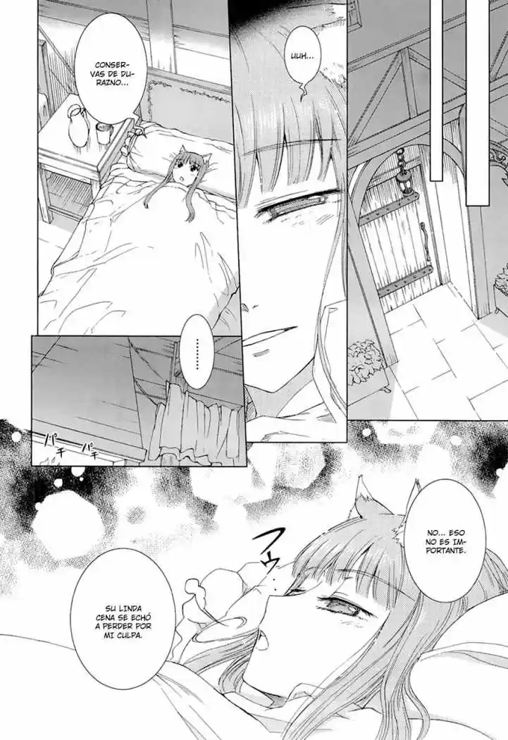 Spice and Wolf (2007) - Capítulo 4 - Página 9 - LectorTMOo