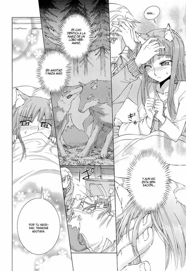 Spice and Wolf (2007) - Capítulo 4 - Página 17 - LectorTMOo