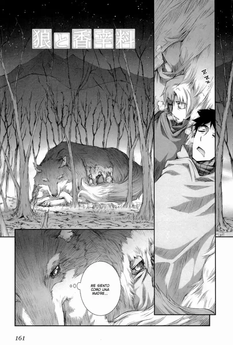 Spice and Wolf (2007) - Capítulo 41 - Página 1 - LectorTMOo
