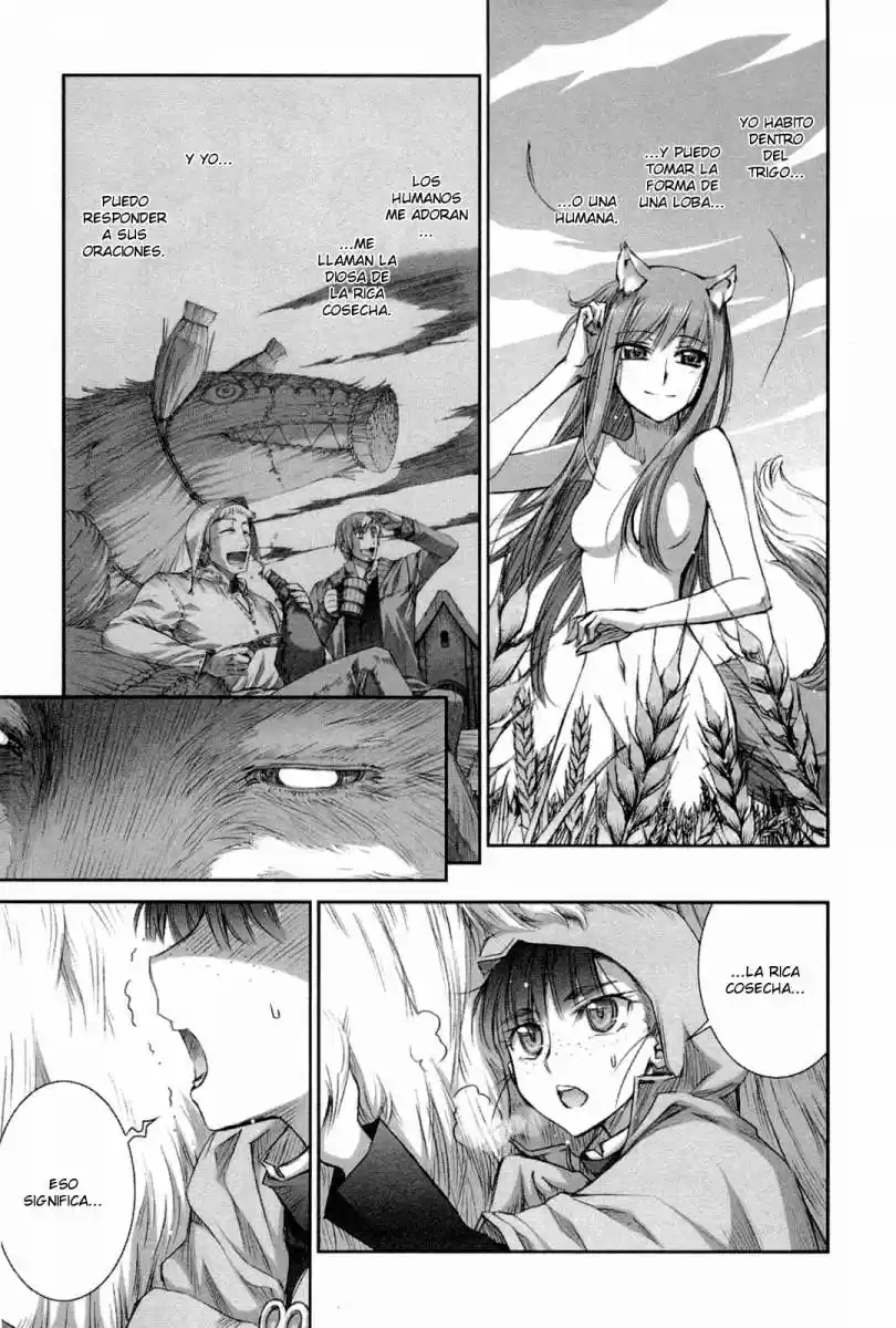 Spice and Wolf (2007) - Capítulo 41 - Página 3 - LectorTMOo