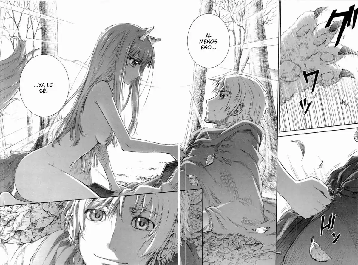Spice and Wolf (2007) - Capítulo 41 - Página 17 - LectorTMOo