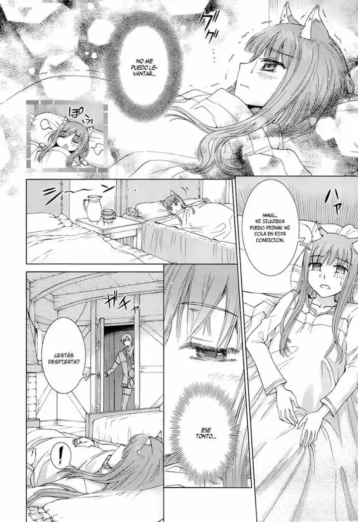 Spice and Wolf (2007) - Capítulo 5 - Página 6 - LectorTMOo