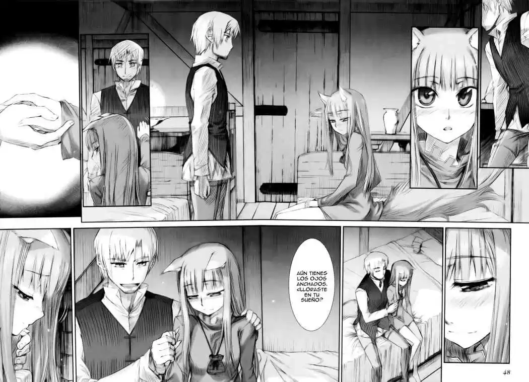 Spice and Wolf (2007) - Capítulo 8 - Página 21 - LectorTMOo