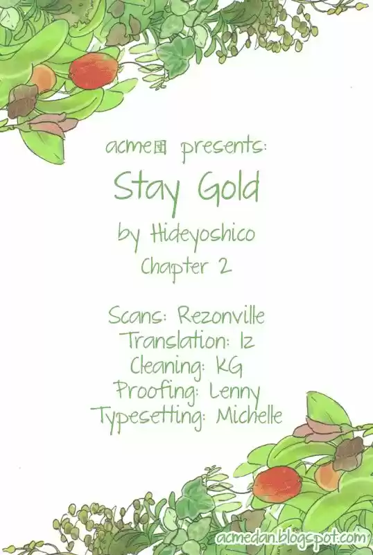 Stay Gold - Capítulo 2 - Página 3 - LectorTMOo