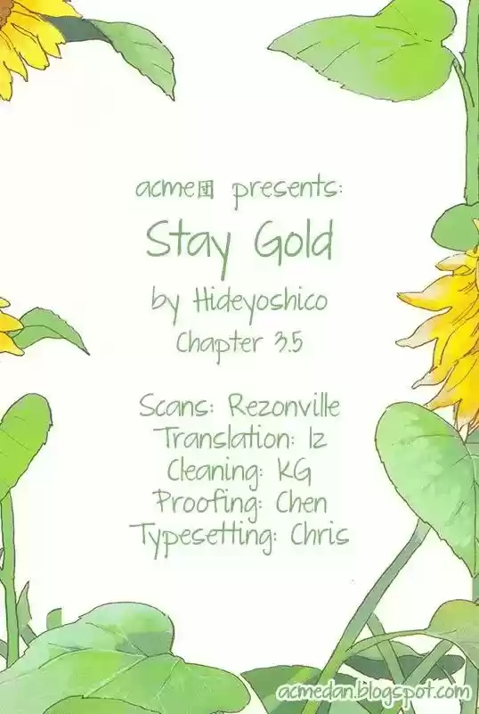 Stay Gold - Capítulo 3.5 - Página 20 - LectorTMOo