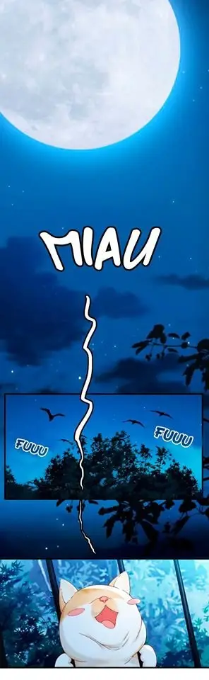 Stream Flow Into Dream - Capítulo 11 - Página 16 - LectorTMOo