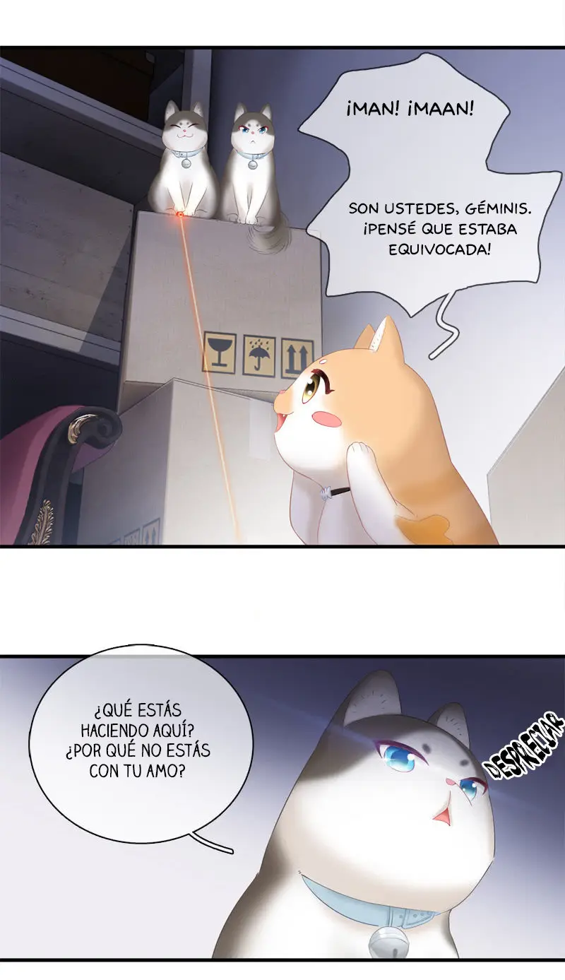 Stream Flow Into Dream - Capítulo 14 - Página 19 - LectorTMOo