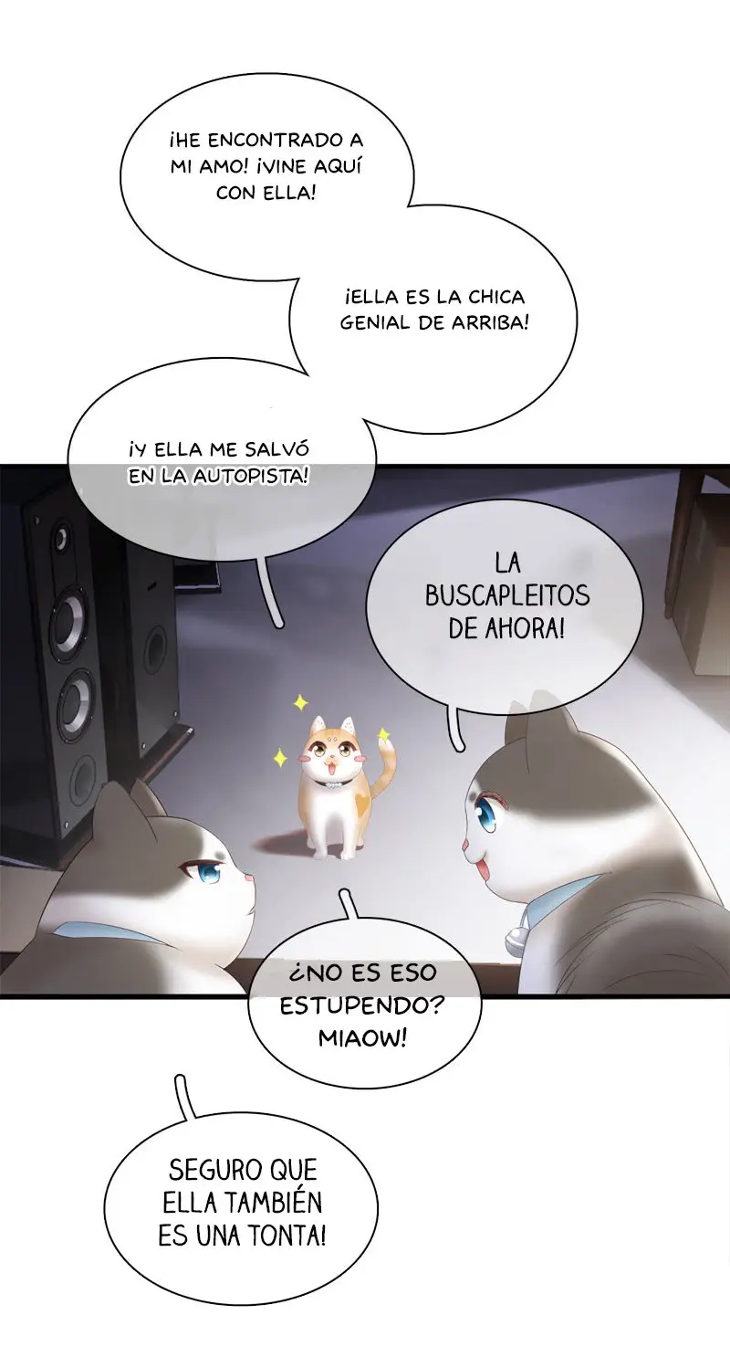 Stream Flow Into Dream - Capítulo 14 - Página 20 - LectorTMOo