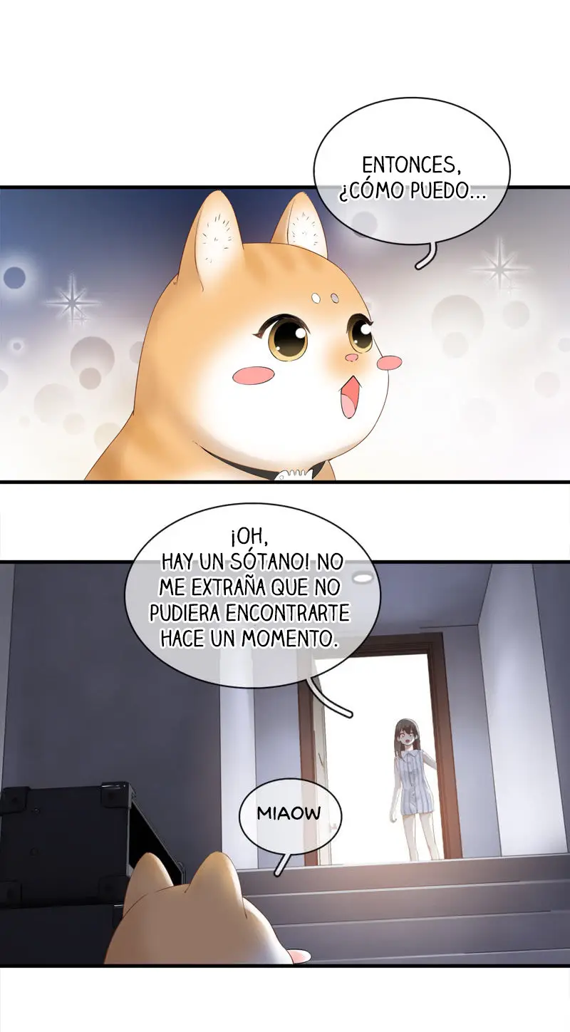 Stream Flow Into Dream - Capítulo 14 - Página 25 - LectorTMOo