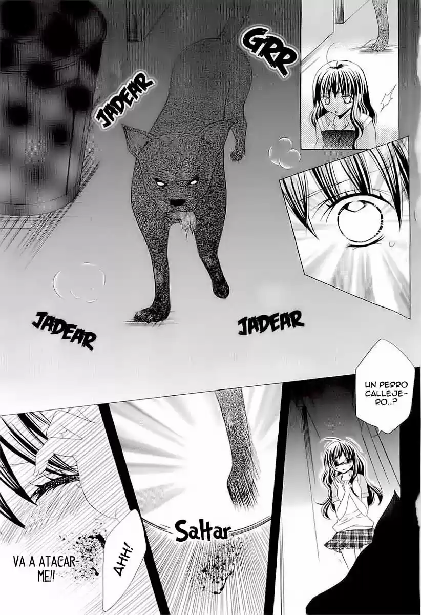 Suki desu Suzuki-kun!! (2008) - Capítulo 42 - Página 14 - LectorTMOo