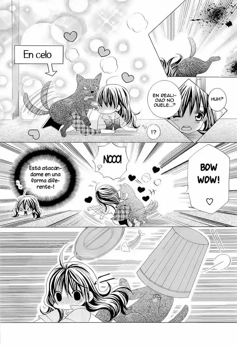 Suki desu Suzuki-kun!! (2008) - Capítulo 42 - Página 15 - LectorTMOo