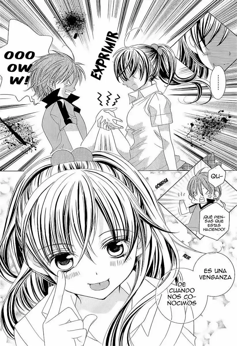 Suki desu Suzuki-kun!! (2008) - Capítulo 47 - Página 14 - LectorTMOo