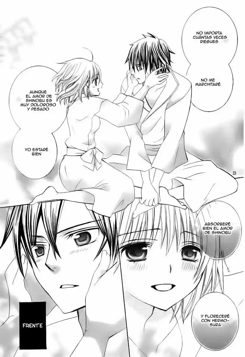 Suki desu Suzuki-kun!! (2008) - Capítulo 85 - Página 25 - LectorTMOo