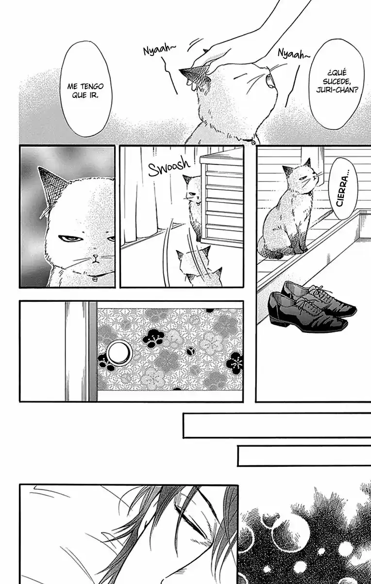 Sumika Sumire (2013) - Capítulo 30 - Página 15 - LectorTMOo