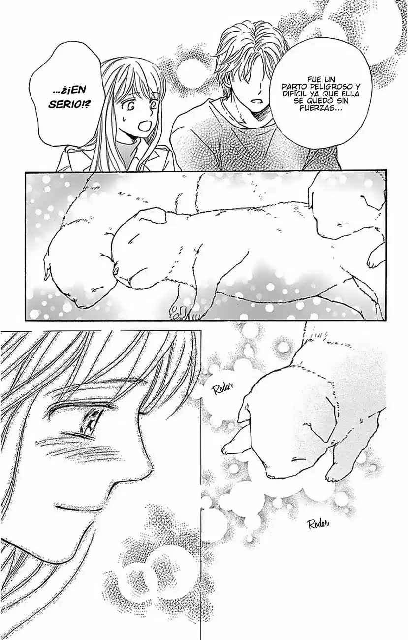 Sumika Sumire (2013) - Capítulo 9 - Página 32 - LectorTMOo