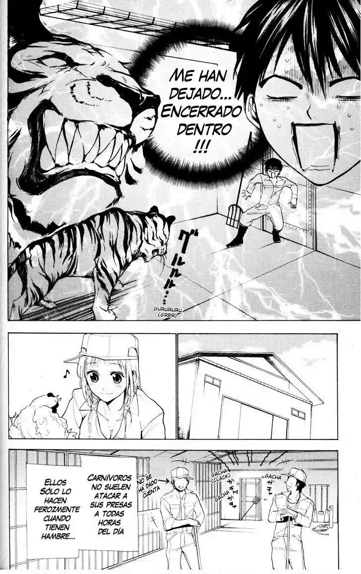 Sumomomo Momomo (2004) - Capítulo 74 - Página 13 - LectorTMOo