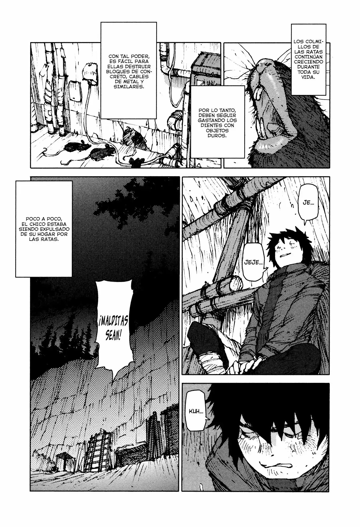 Survival: Shounen S no Kiroku (2015) - Capítulo 23 - Página 9 - LectorTMOo