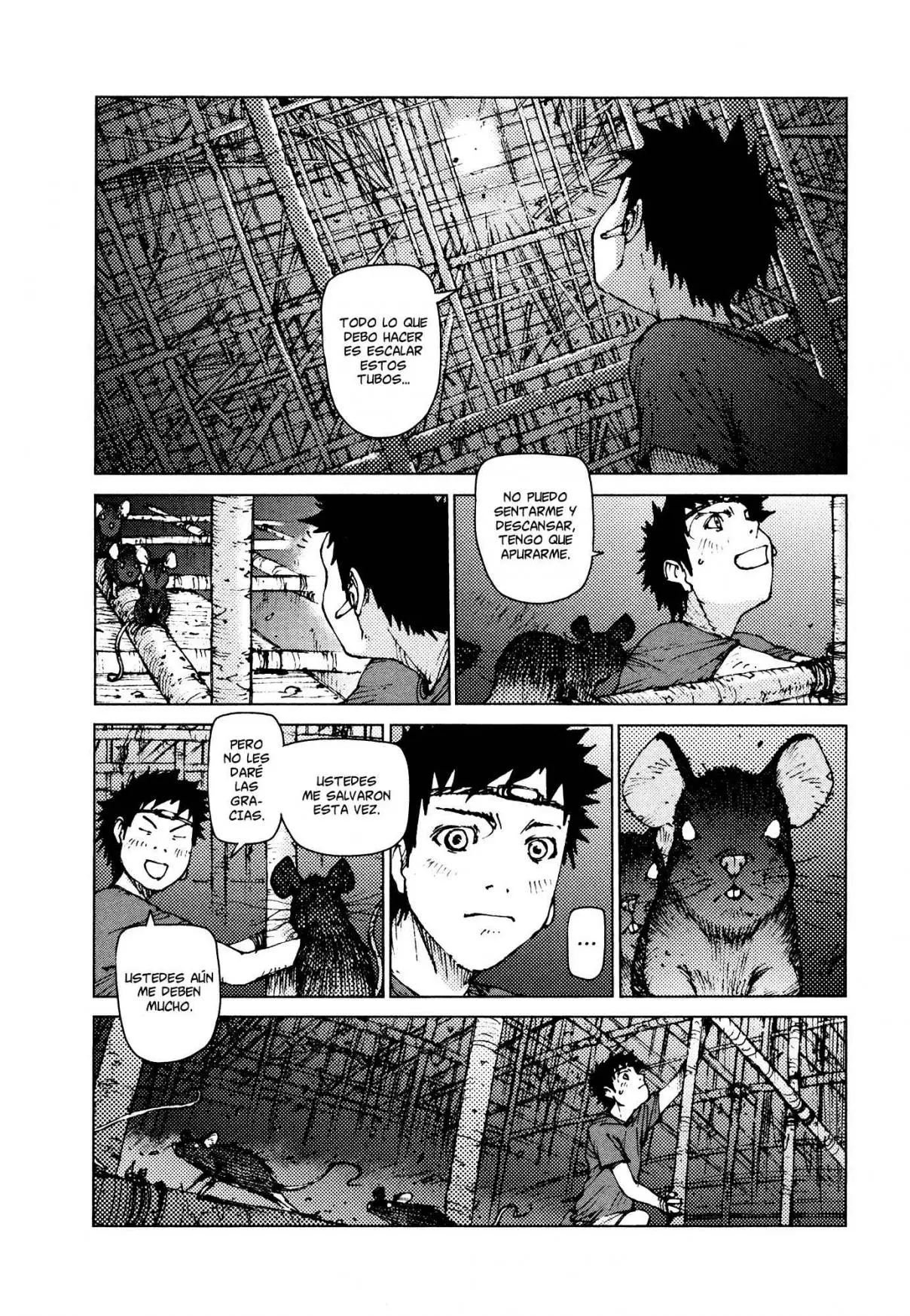 Survival: Shounen S no Kiroku (2015) - Capítulo 95 - Página 6 - LectorTMOo