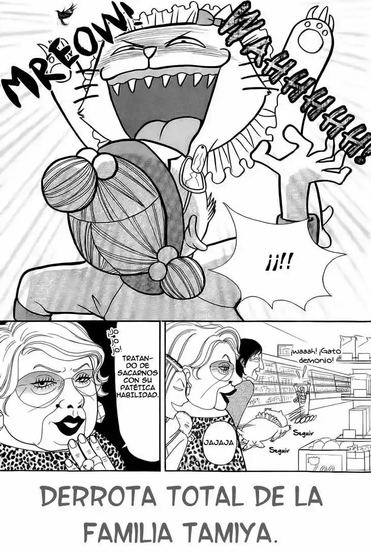 Switch Girl!! (2006) - Capítulo 47 - Página 17 - LectorTMOo