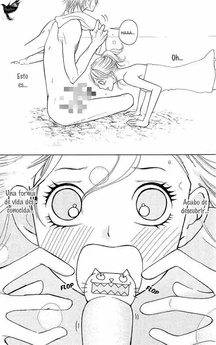 Switch Girl!! (2006) - Capítulo 51 - Página 21 - LectorTMOo