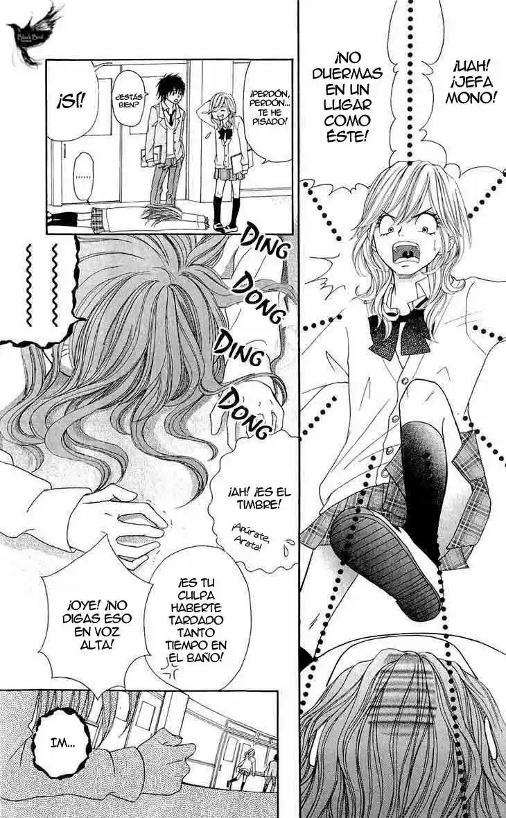 Switch Girl!! (2006) - Capítulo 56 - Página 18 - LectorTMOo
