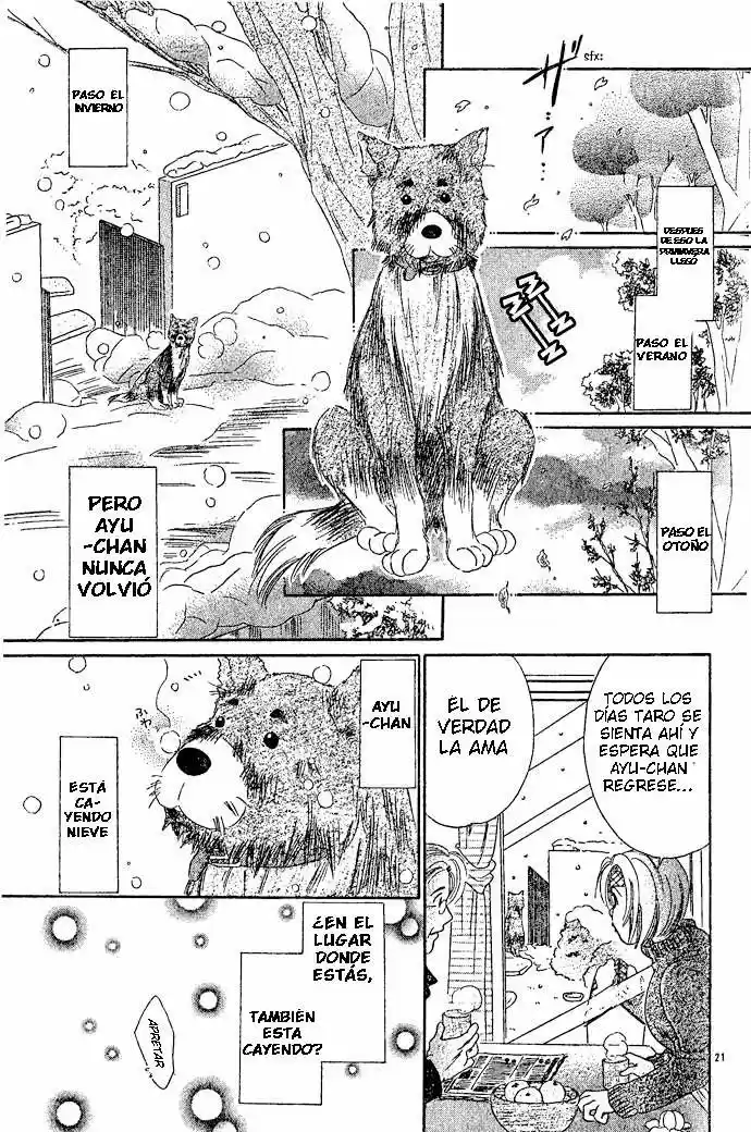 Tengoku no Inu Monogatari (2004) - Capítulo 2 - Página 6 - LectorTMOo