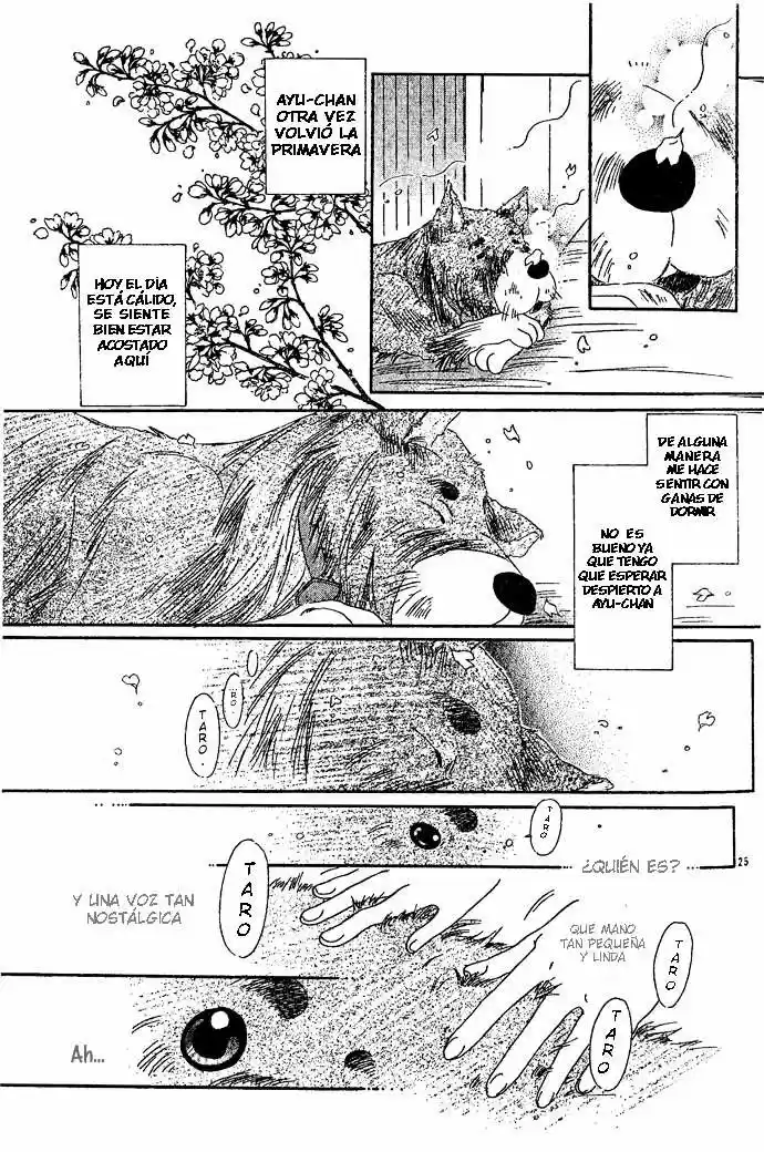 Tengoku no Inu Monogatari (2004) - Capítulo 2 - Página 12 - LectorTMOo