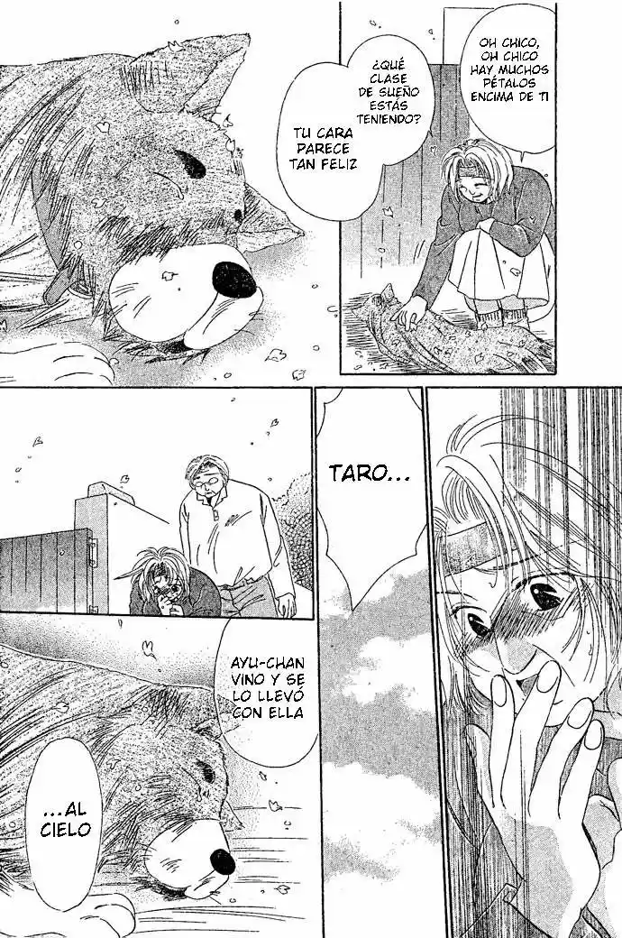 Tengoku no Inu Monogatari (2004) - Capítulo 2 - Página 17 - LectorTMOo