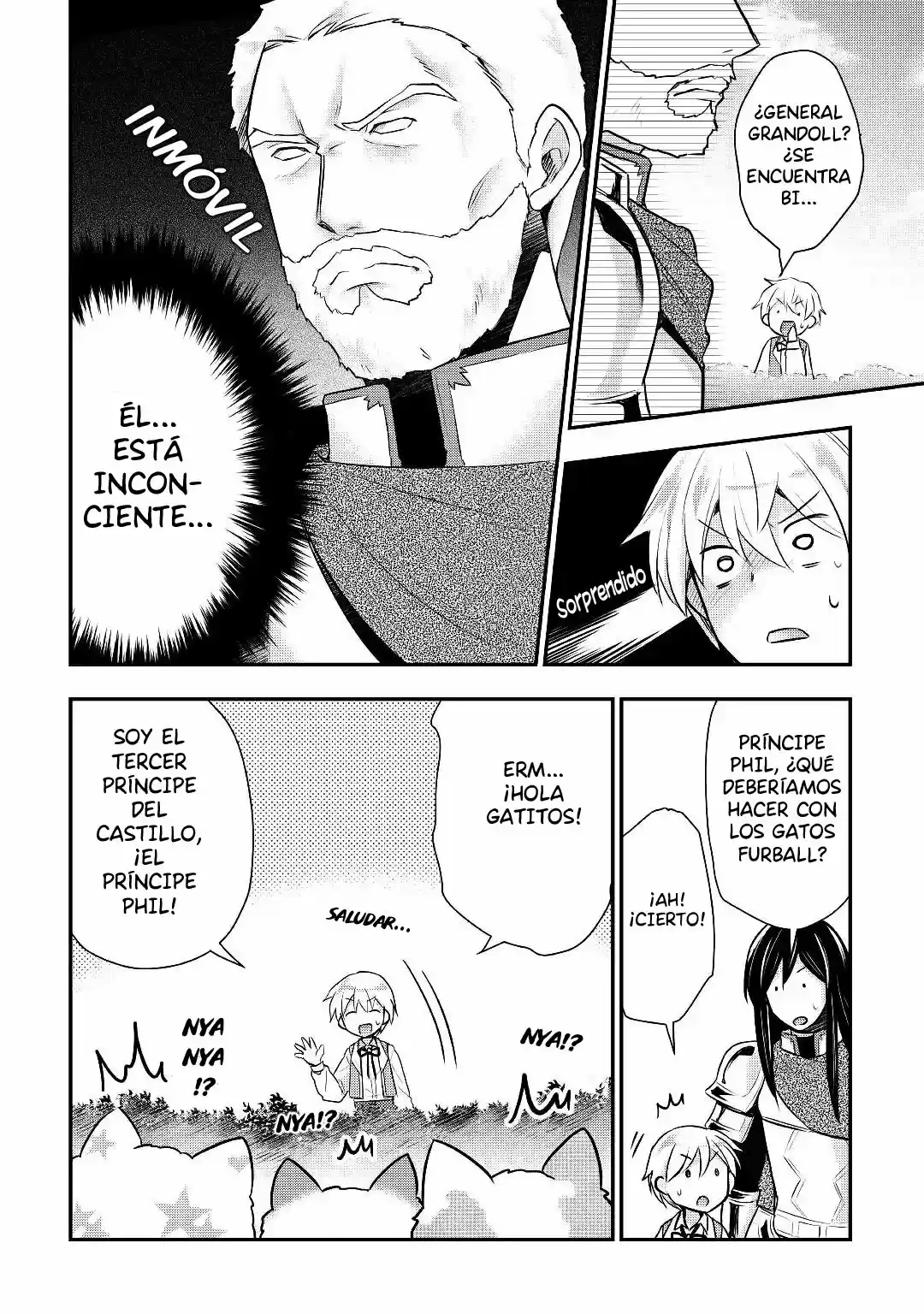 Tensei Ouji wa Daraketai (2018) - Capítulo 14 - Página 18 - LectorTMOo