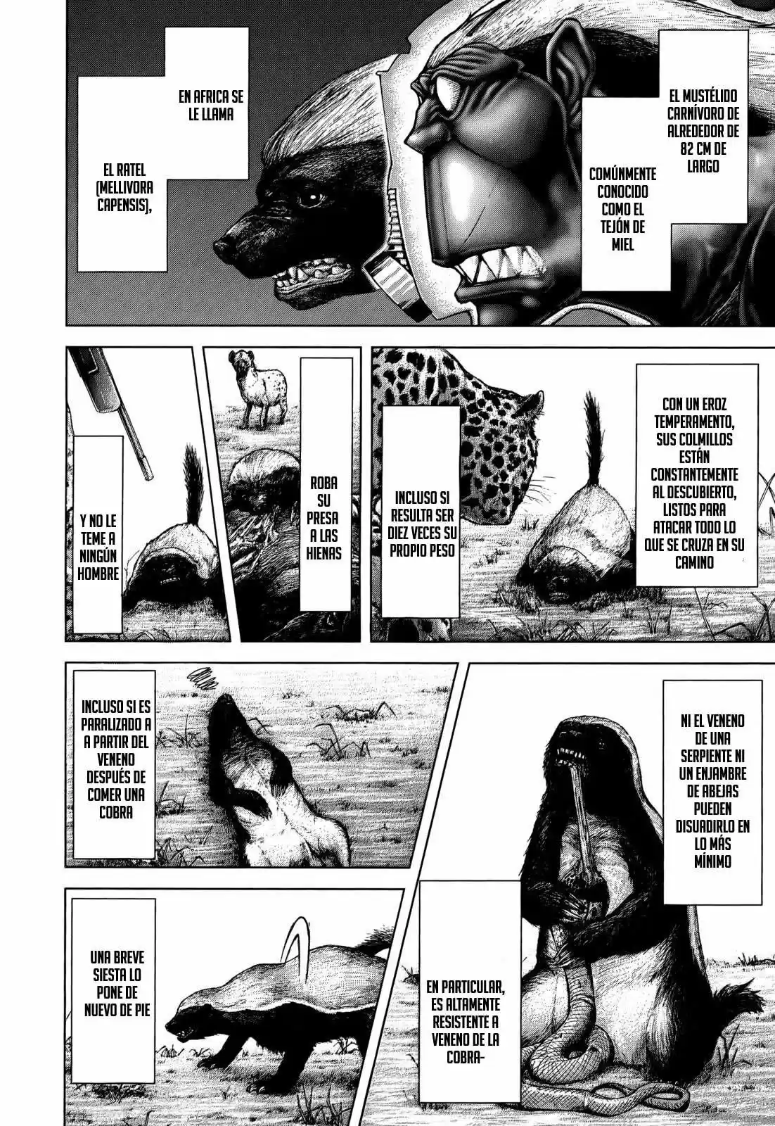 Terra Formars (2011) - Capítulo 104 - Página 14 - LectorTMOo