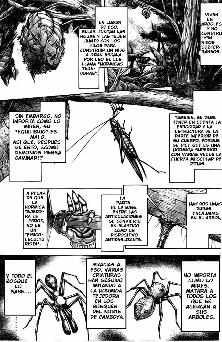 Terra Formars (2011) - Capítulo 208 - Página 7 - LectorTMOo