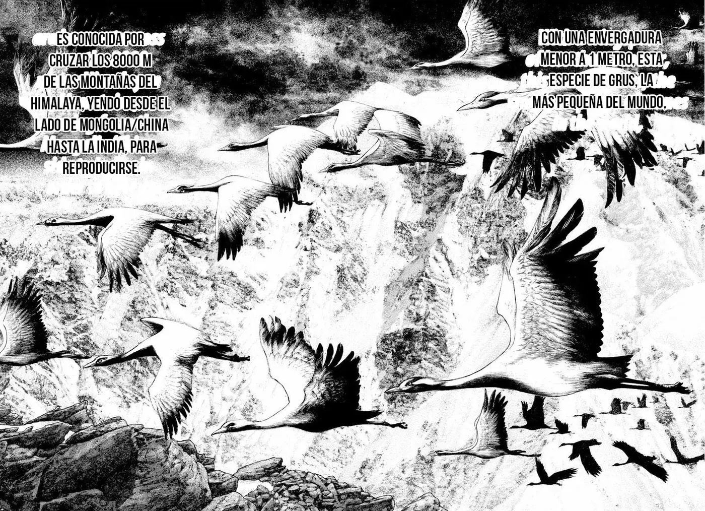 The Climber (2007) - Capítulo 168 - Página 10 - LectorTMOo