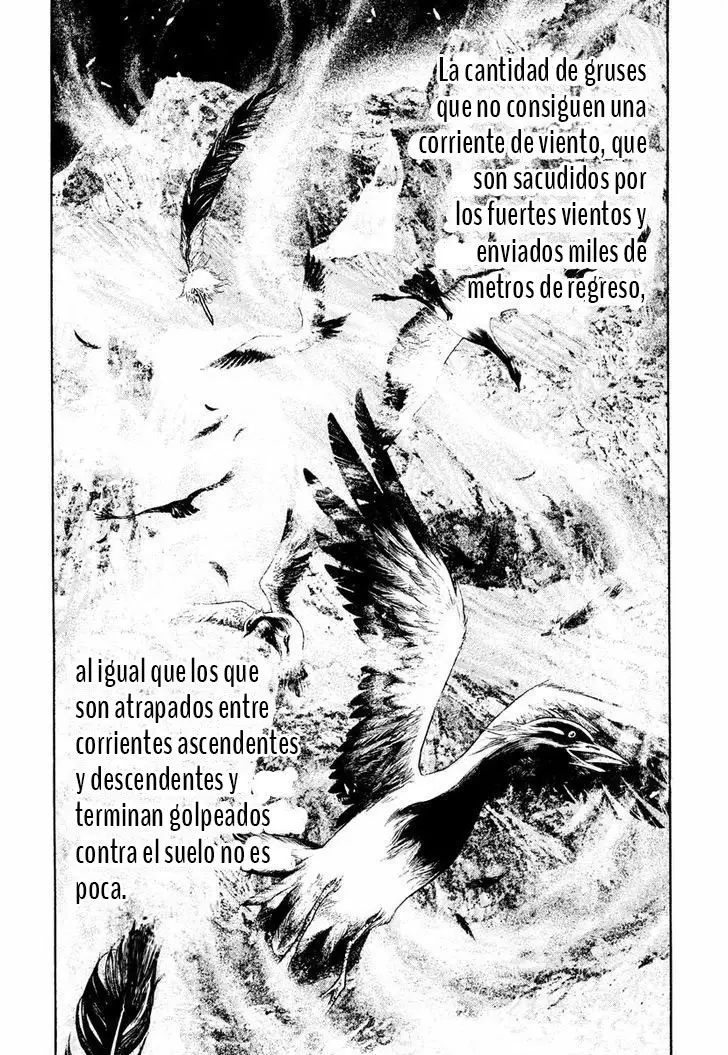 The Climber (2007) - Capítulo 168 - Página 13 - LectorTMOo